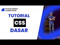 CSS Properties and Selectors