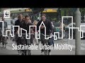 Sustainable Urban Mobility Challenges