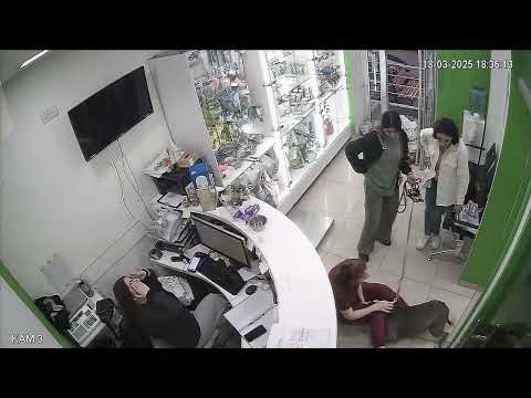 Excited dog knocks over vet during check-up in Yerevan, Armenia