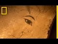 Ancient Workers' Timekeeping and Records