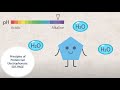 Electrophoresis Techniques and Protein Properties