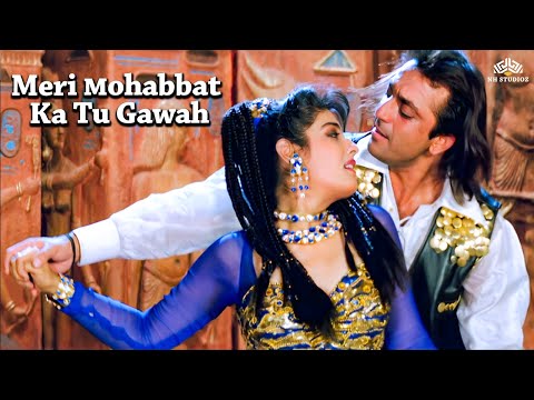 Meri Mohabbat Ka Tu Gawah (HD) Songs | Aatish (1994) | Sanjay Dutt | Raveena Tandon | Karisma Kapoor