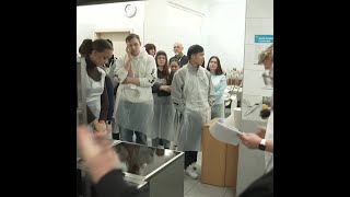 Berufliche Bildung im Wandel: EU-Förderung stärkt junge Menschen in Brandenburg und Polen / Vocation