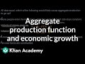 Aggregate Production and Productivity Concepts