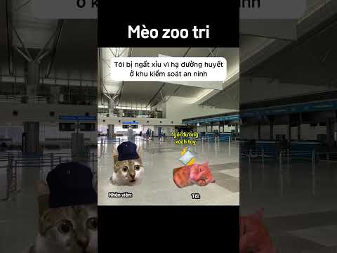 Hiểu lầm rồi anh ơi !