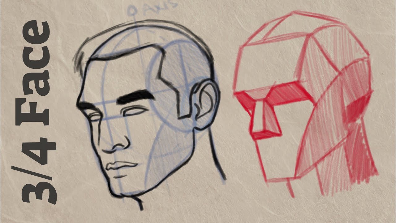How to Draw 3/4 Face LOOMIS Method - Cintiq 16 - RapidFireArt