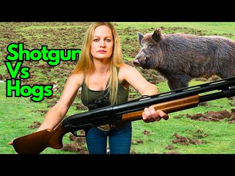 WILD HOG HUNTING Queen Takes Down Nasty Beasts with Her SHOTGUN!