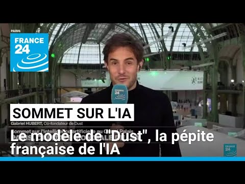 Sommet sur l'IA à Paris : le modèle de "Dust", la pépite française de l'IA • FRANCE 24