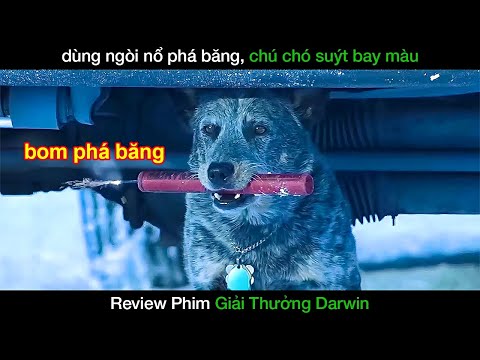 Người đàn ông dùng phương pháp kì lạ để bắt cá dưới băng - Review Phim Giải Thưởng Darwin