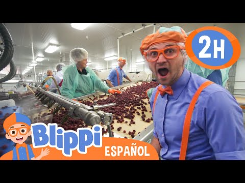 Tour de Blippi por la fábrica de frambuesas congeladas | Blippi | Moonbug Kids - Parque en Vivo!