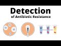 Antibiotic Resistance Testing Methods