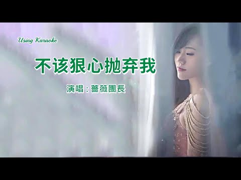 不該狠心拋棄我-薔薇團長-伴奏 KARAOKE