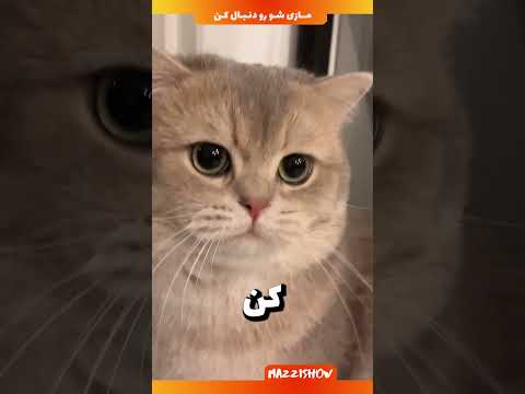 هیچ وقت دستتو تو این مایع نکن
