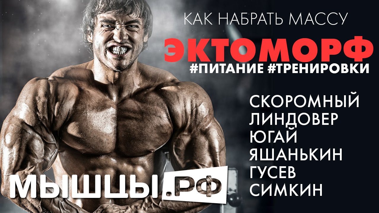 Эктоморф: как набрать массу? Скоромный, Линдовер, Гусев и др