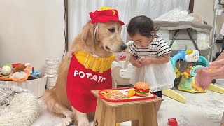 店員さんの役割を任されるとしっかりなりきるゴールデンレトリバーがすごすぎました...