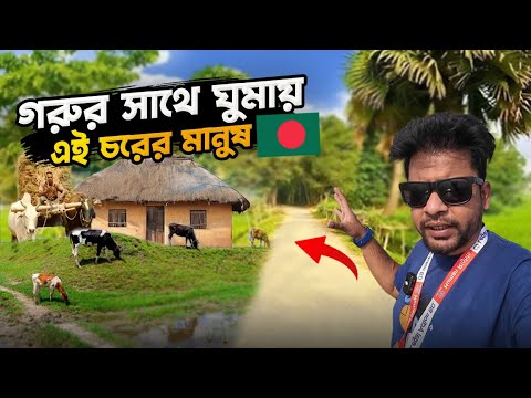 চাঁদপুরের রাজরাজেশ্বর চরের মানুষের কঠিন জীবন | Rajrajeshwar Char Chandpur