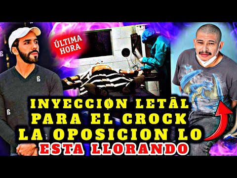 BOMBAZO NAYIB BUKELE SORPRENDIDO ESTADOS UNIDOS PIDEN PÊN4 DE MÙRTE PARA EL CROKC POR T3RR0RIST4