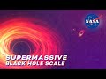 Exploring Black Holes in the Universe