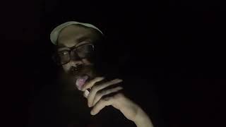 Test Bunny Storytime