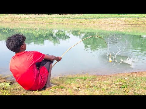 Fishing Video || The traditional boy's fishing talent was extraordinary || Best hook fishing