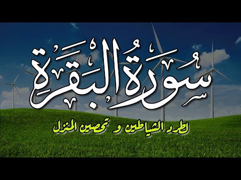 سورة البقرة (كاملة) لحفظ وتحصين المنزل وجلب البركة تلاوة هادئة | Sourah Baqara