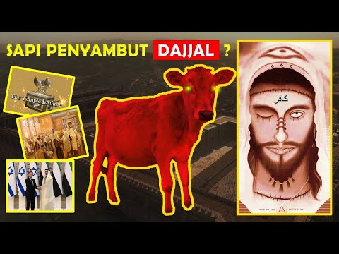 Sapi Betina Merah dan Kuil Sulaiman, Al-Baqoroh?