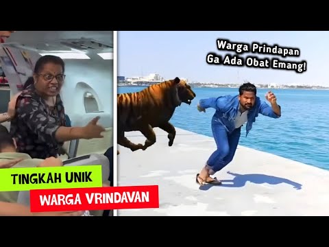 Warga Prindapan Memang Gak Ada Obat..!! Kelakuan Unik Warga Prindapan Bikin Tepok Jidat - Pt.2