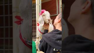 Tina aka Terrific is really a girl's girl 🐐💚
