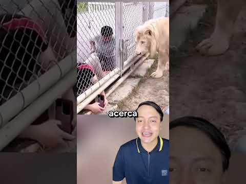 LEON PERDONO LA VIDA A UN CHICO