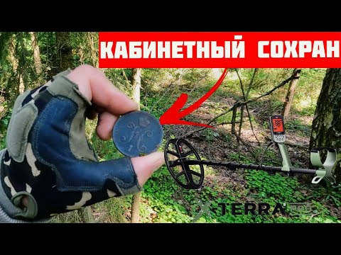 Поход на Коп - В этом лесу кабинетный сохран МОНЕТ
