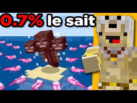 J'ai Testé les Faiblesses des Mobs de Minecraft pour voir si elles sont Vraies !