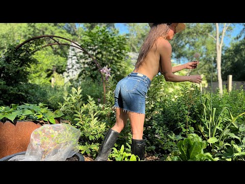 Sick Goat Took a Turn for the Worst and Hot Summer Food Forest is Growing