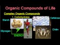 Functions and Structures of Biomolecules