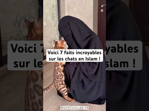 Voici 7 faits incroyables sur les chats en Islam ! #islam #animaux