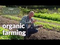 Organic vs Conventional Farming Practices