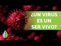 Understanding Viruses