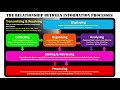 Information Processing Systems Concepts
