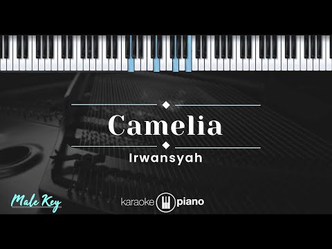 Camelia – Irwansyah (KARAOKE PIANO – MALE KEY)