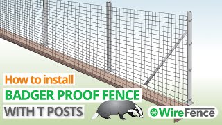 Video thumbnail for Badger proof fence installation