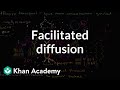Transport Proteins and Membrane Function