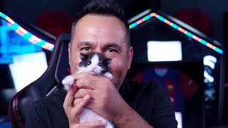 TAKLİTÇİ KEDİ SİMÜLASYONU! | COPYCAT FULL OYUN