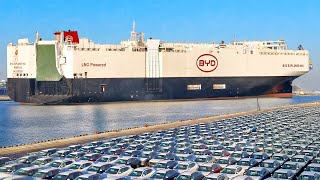 Inside the World’s Largest Ro‑Ro Car Carrier