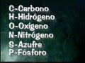 Biomoléculas y sus Funciones