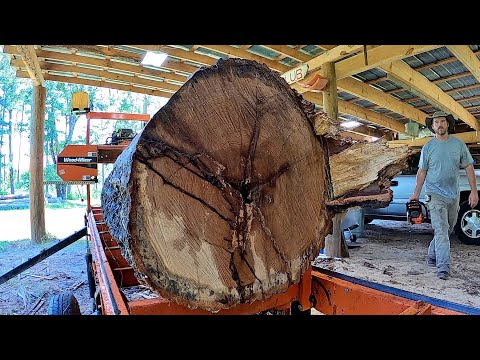 Quarter Sawn Lumber from a GIANT Red Oak