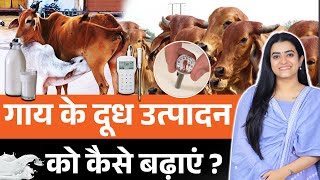 सिर्फ चारा नहीं, पशु को चाहिए पोषण | गाय-भैंस का दूध बढ़ाने का असली तरीका | किसान भाइयों जरूर जानिए