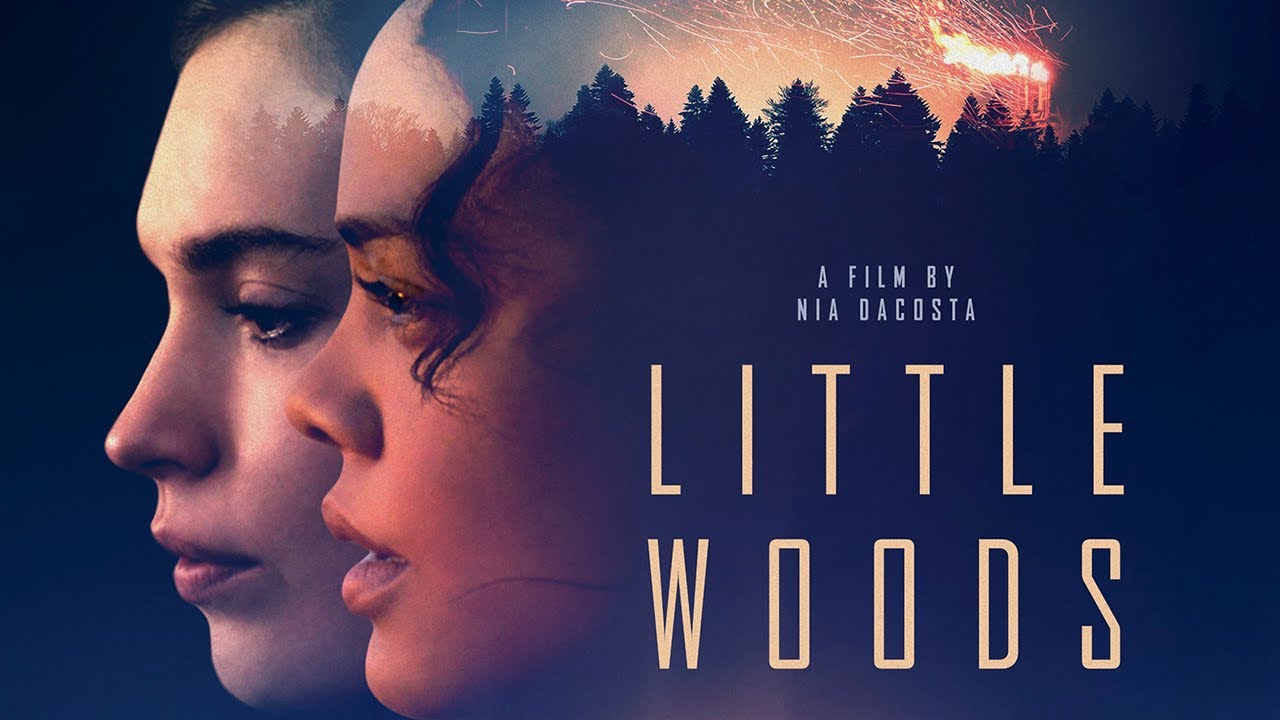 Little Woods Trailerin pikkukuva