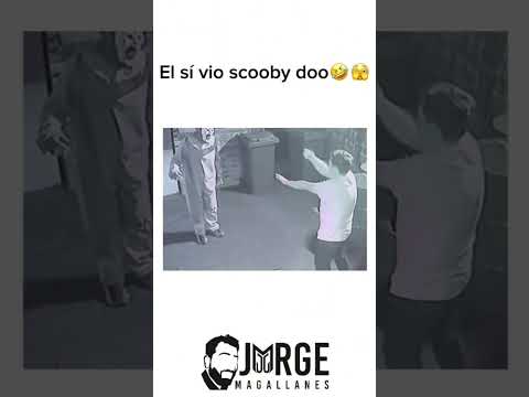 Si veía Scooby soo😅🫣 #humor #comedia #scoobydoo #caricaturas #macarena