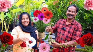 ചെടികളും പൂക്കളും ഇഷ്ടപ്പെടുന്നവർക്ക് വേണ്ടി ഒരു സ്പെഷ്യൽ vlog😍 | Garden Vlog | village spices