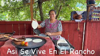 Tortitas De Ejotes Con Queso, Receta FÁCIL Y ECONÓMICA