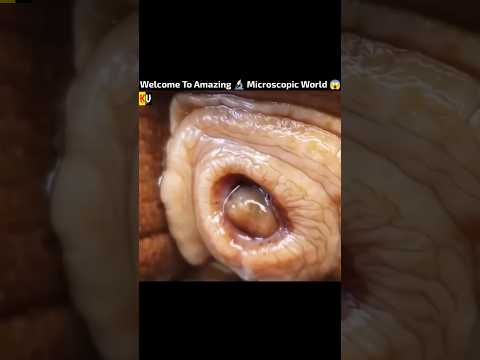 Microscopic world 😱 #shorts #viral